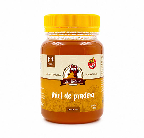 foto-siete